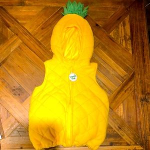 Pineapple Halloween costume! Size 18 Months.